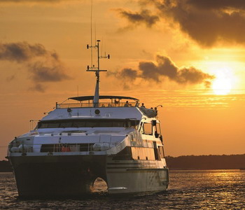 Image Cruise